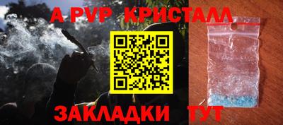 стафф Кинель