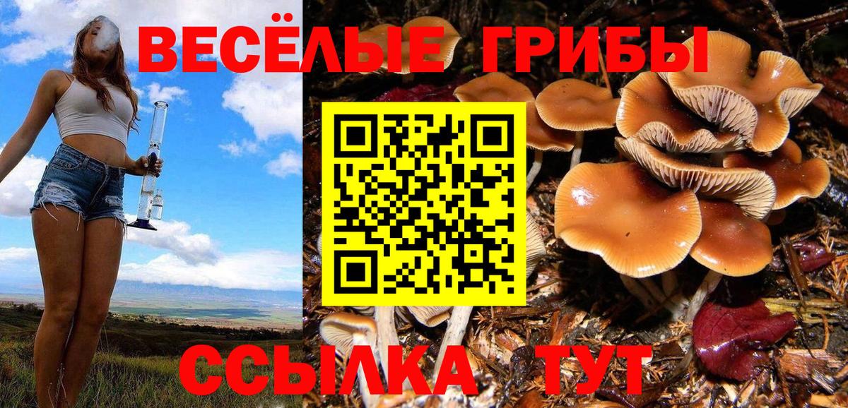 Буйнакск  Псилоцибиновые грибы Psilocybine cubensis  Псилоцибиновые грибы Psilocybe  Вход с VPN 